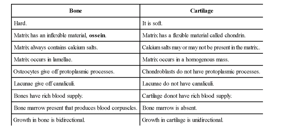 Skeletal Tissues